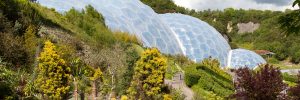 The Eden Project is a worthwhile day trip from Bude