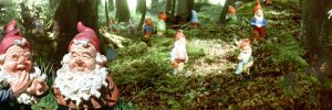 Attractions Near Bude - The Gnome Reserve