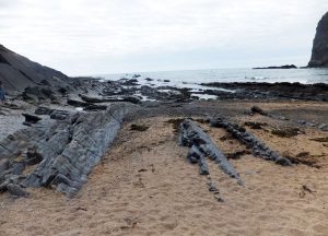 The rocky coast around Bude is great for rockpooling
