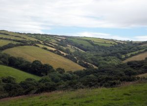 Just inland from Bude, you'll find fantastic rolling countryside